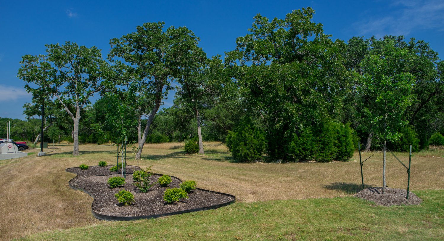 landscape with mulch