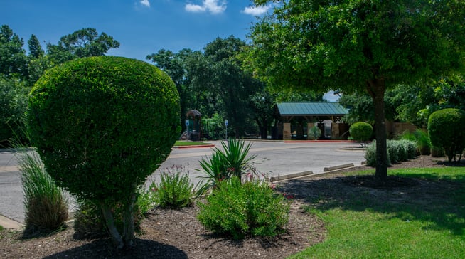 plants placed well on commercial landscape