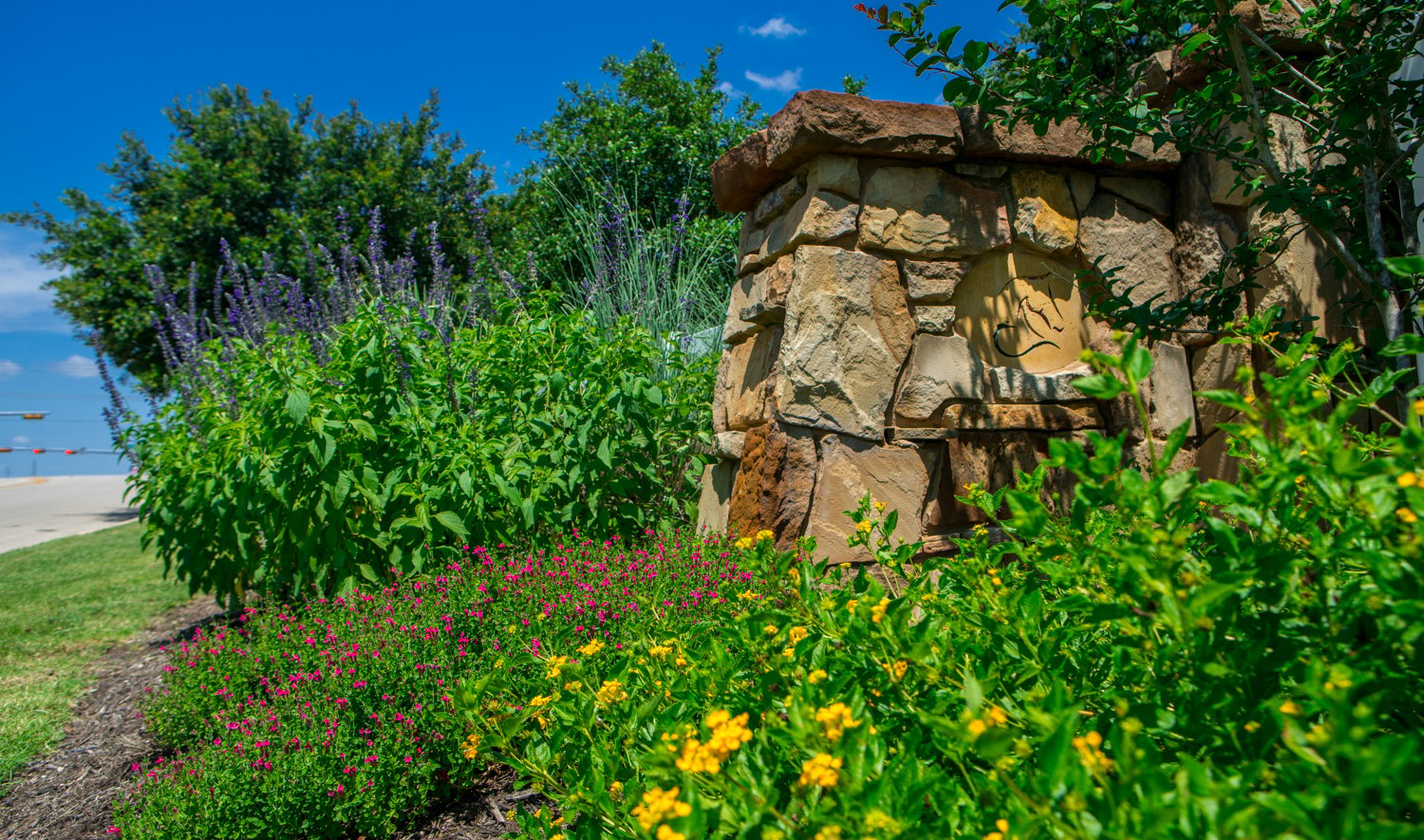 Plants and flowers on Austin, TX commercial landscaping property