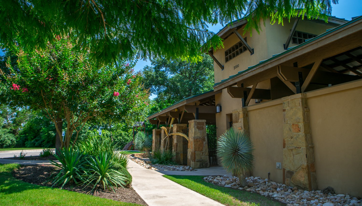 walkway with trees and shrubs