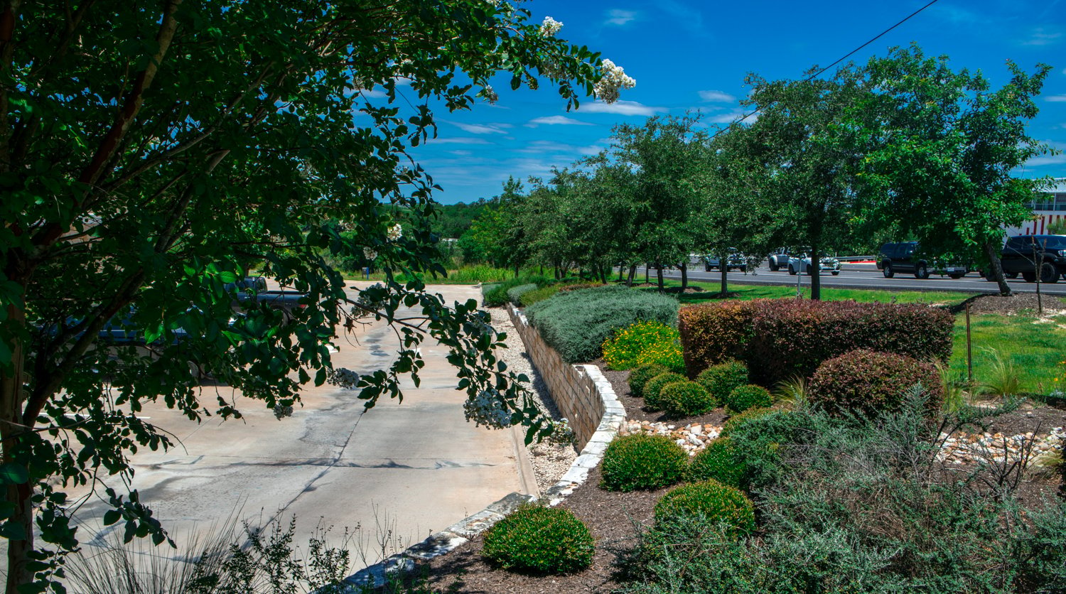 Trimmed shrubs on apartment landscape