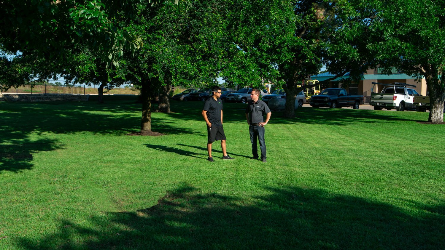 commercial-landscaping-Ewing-crew-grass-trees-3