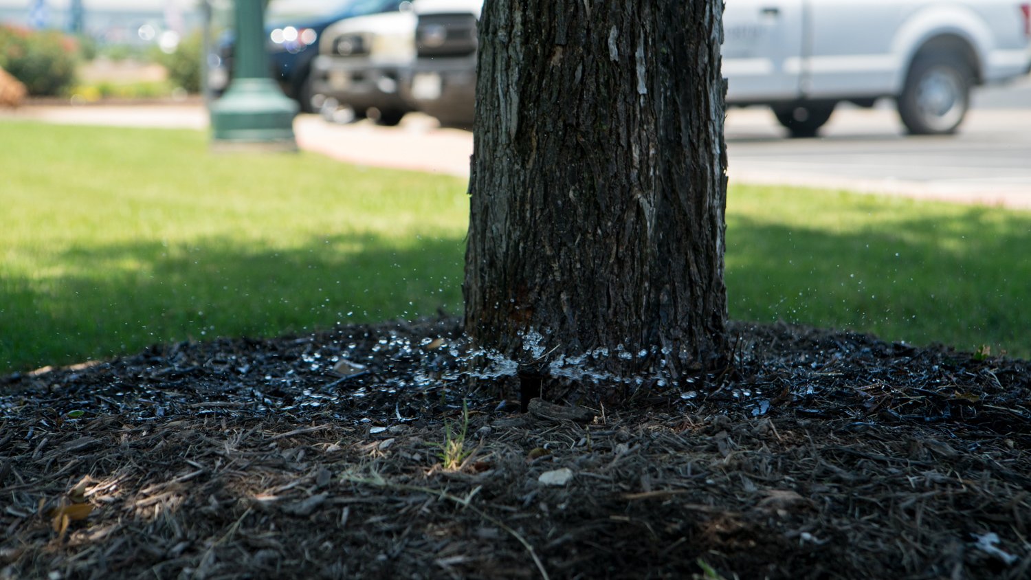 irrigation sprinklers watering a tree