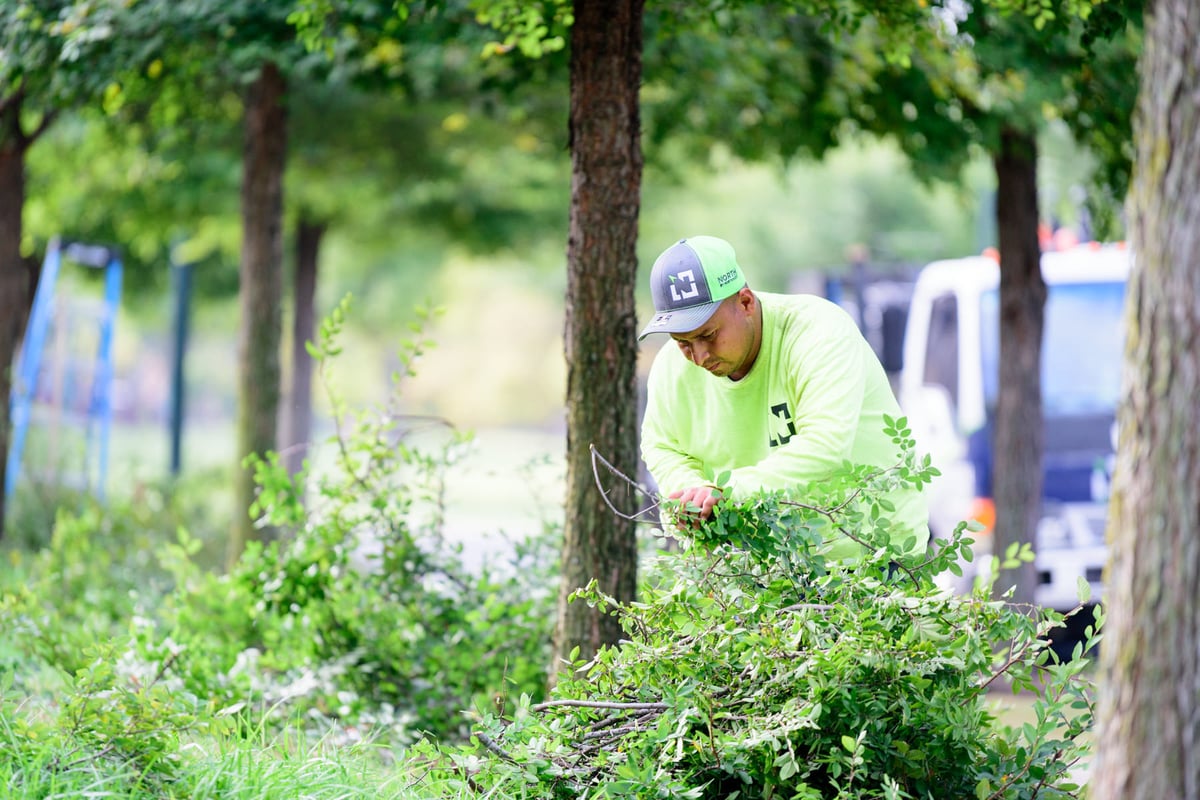 commercial landscape maintenance spring clean up prune in Austin tx