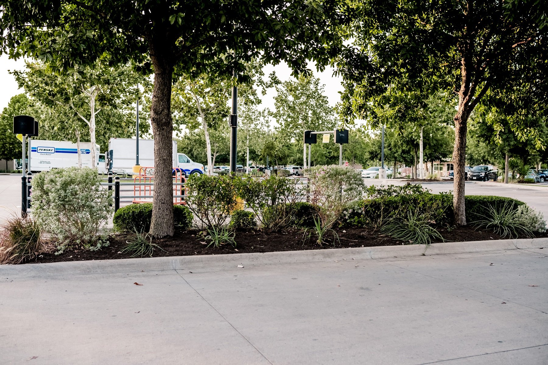 clean looking landscaping at Mueller Retail Center