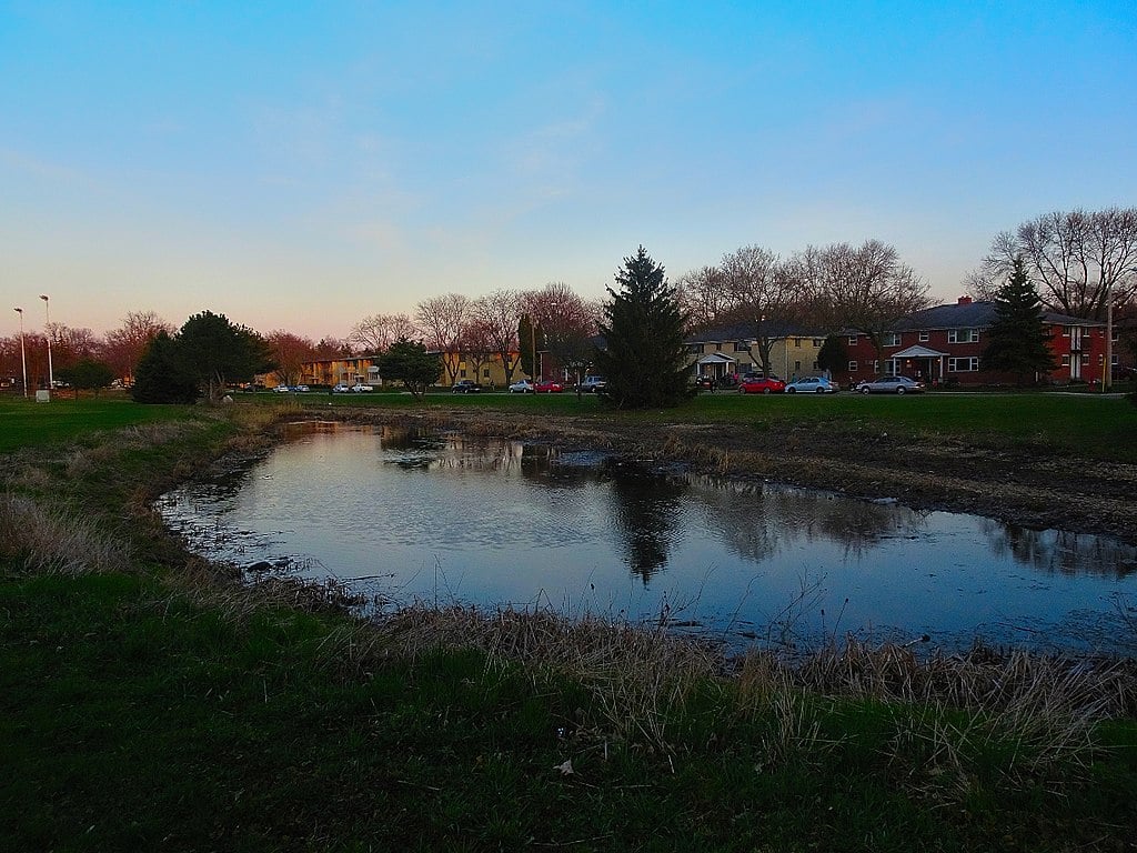 Retention Pond maintenance