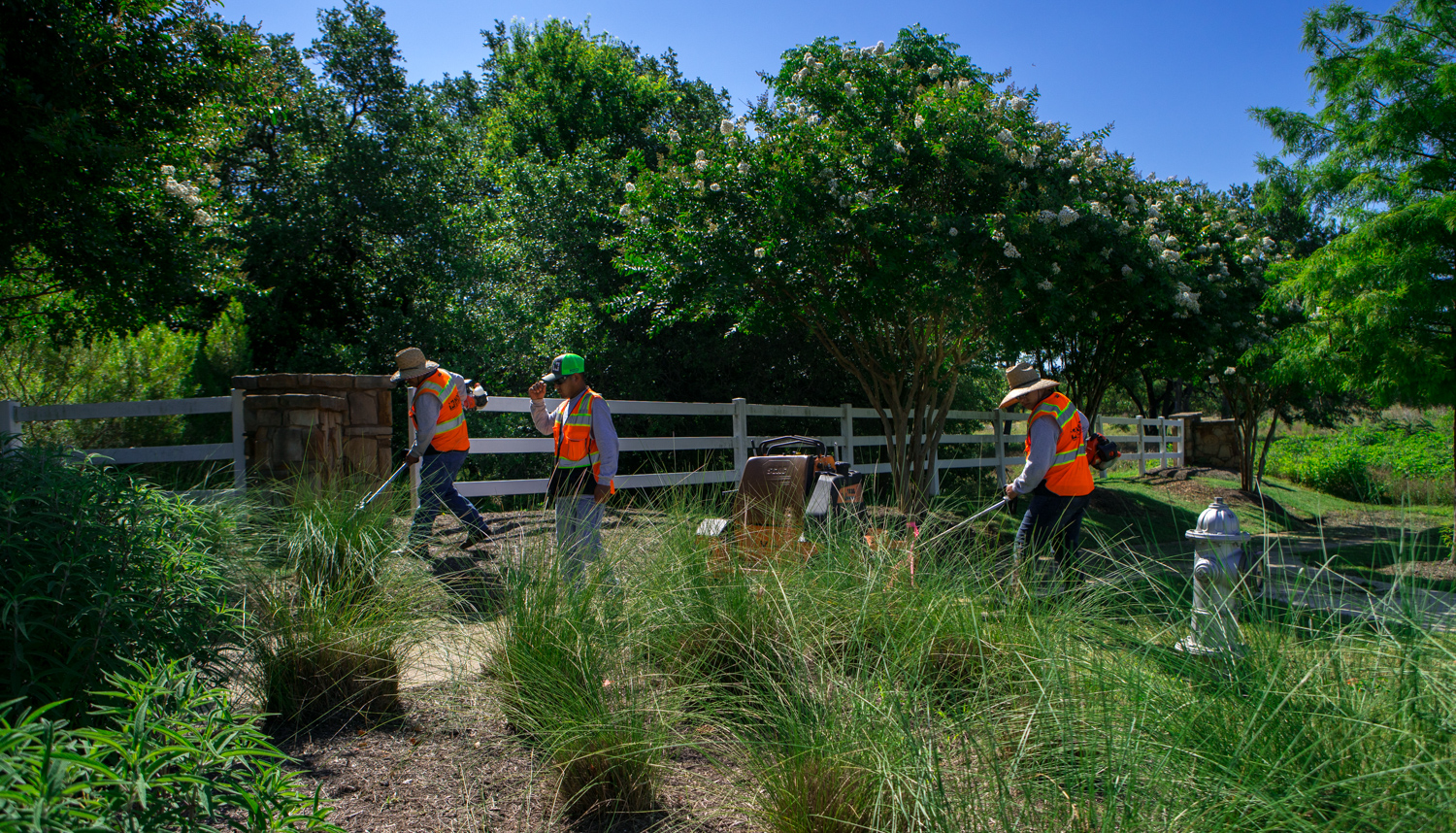 commercial-landscaping-CaballoRanch-crew-maintenance-2