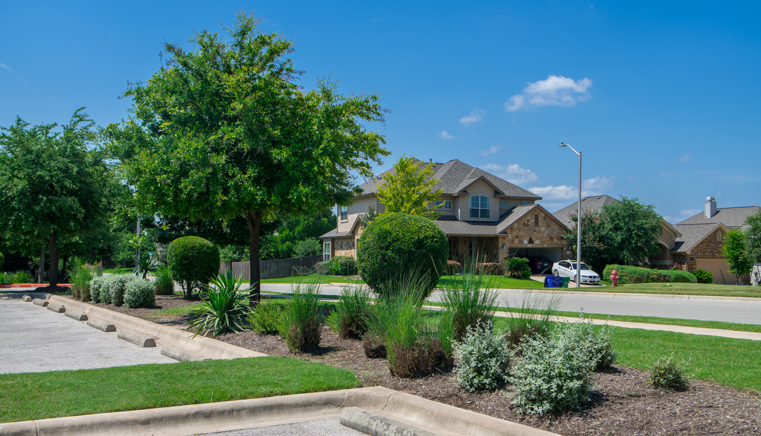 commercial-landscaping-CaballoRanch-parking-trees-shrubs-planting-2
