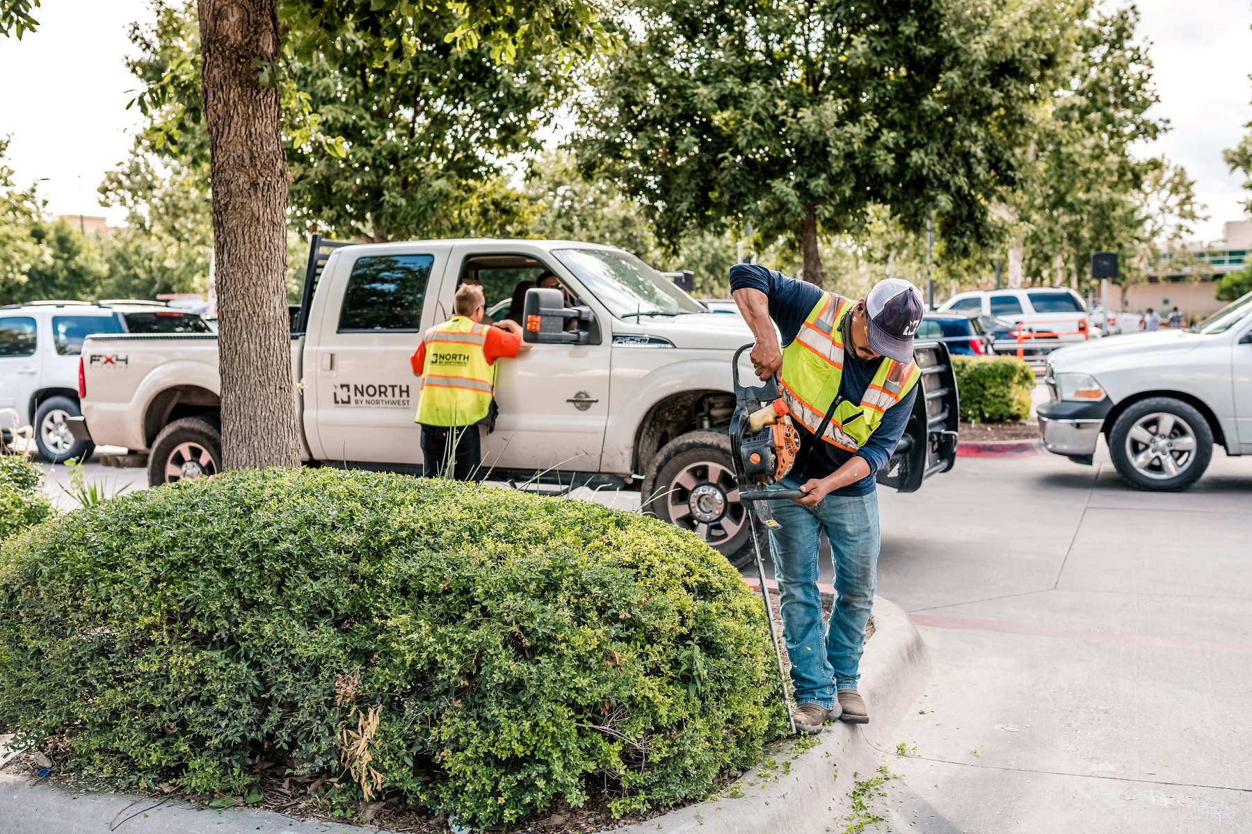 Commercial maintenance team cleaning up beds and trimming shrubs