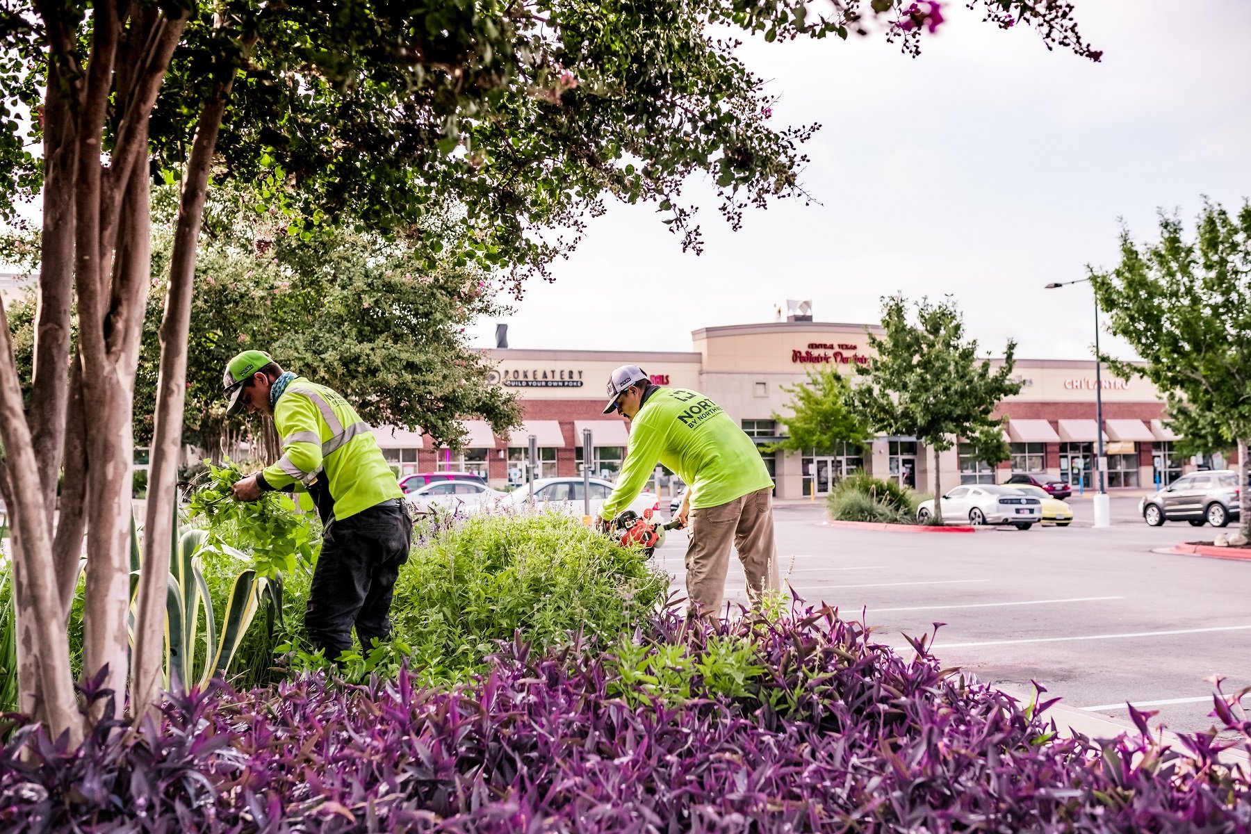 Commercial landscape maintenance crew