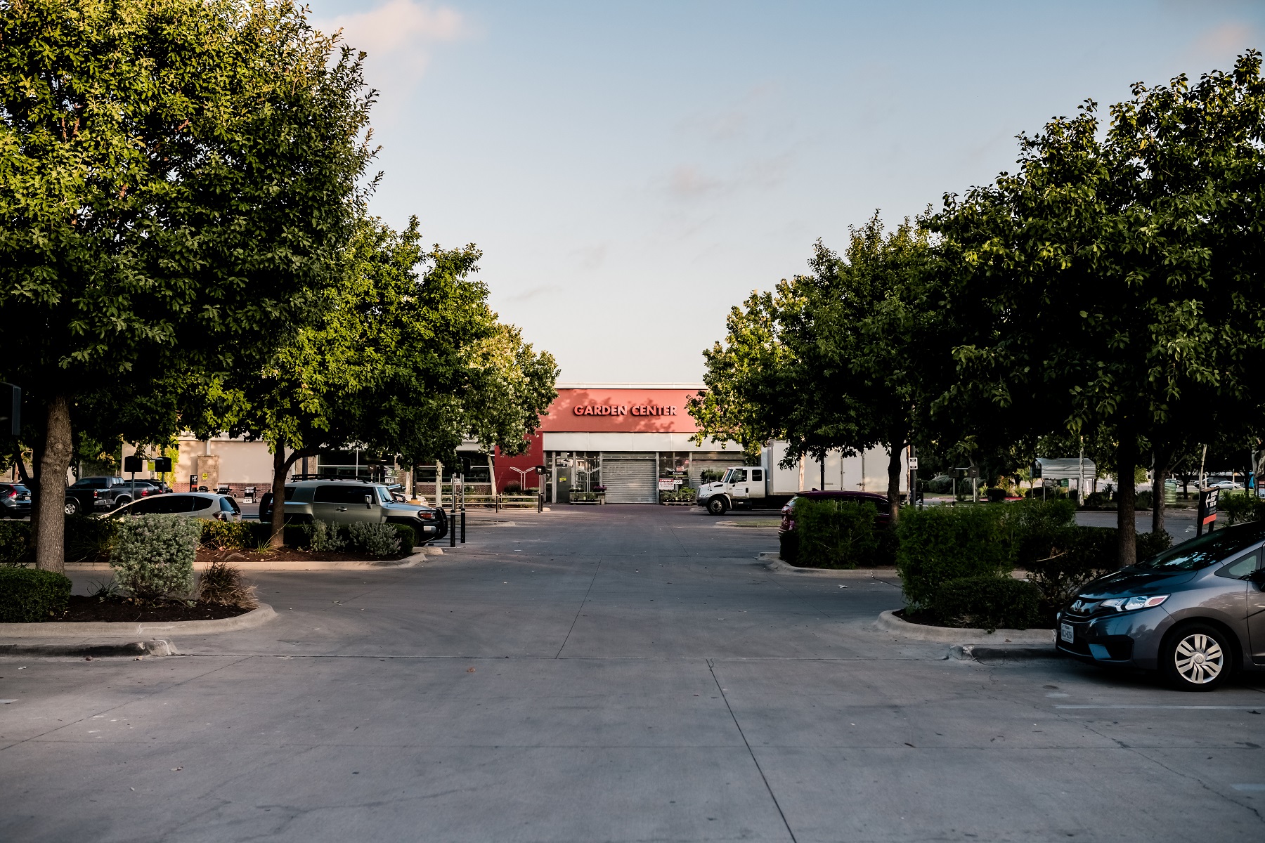 Parking lot trees