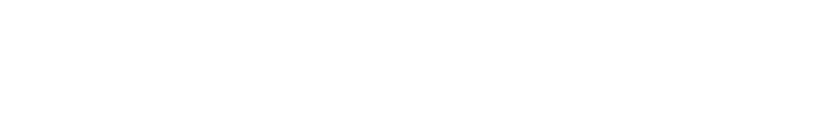 Skybeck_Logo_WHT