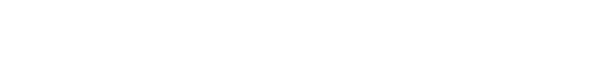 Skybeck_Logo_WHT