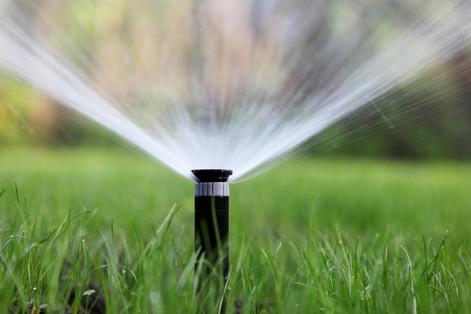 Irrigation head watering commercial landscape